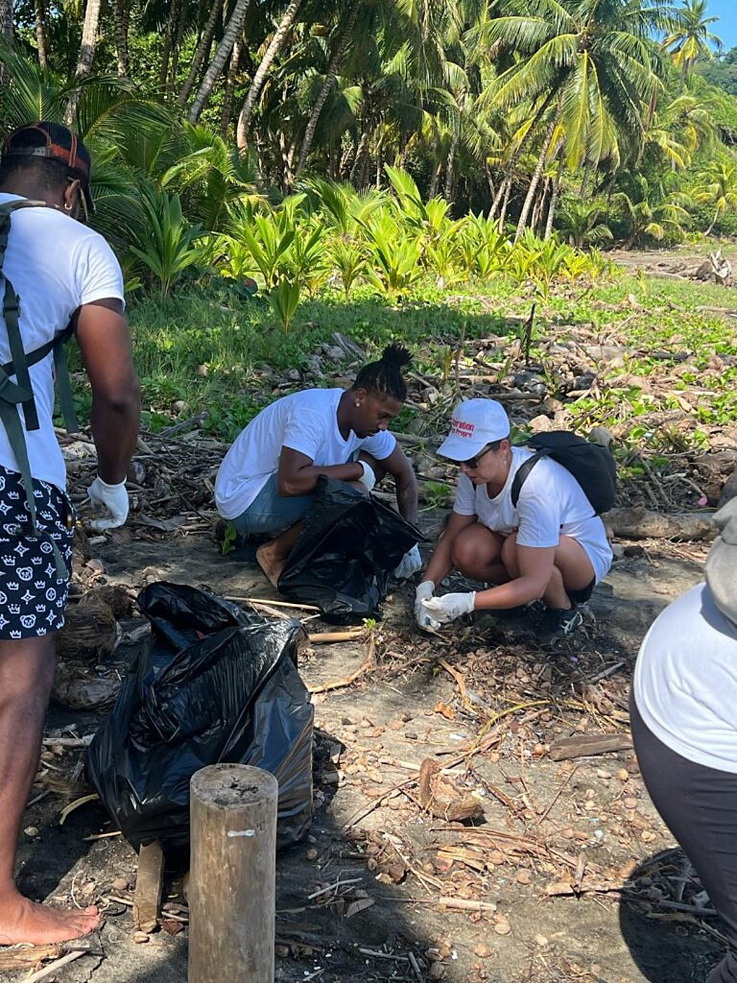 Des personnes en t-shirt blanc et gants ramassent des déchets dans des sacs noirs sur une plage tropicale bordée de cocotiers.